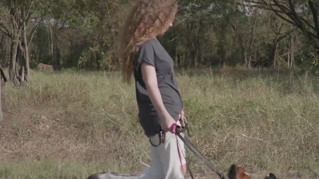 woman-walking-dogs