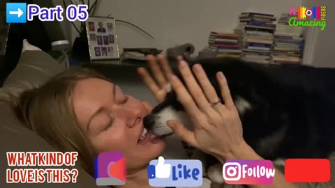 Viral Amazing🤩Dog🐕‍🦺Lover🐕Part 05💋Kissing Dog🐶Video🦮Animal😍Dog Lover🐕Amazing🧐Shorts😳Reels📢Videos😁📸