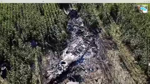 MICHAEL JACO NEWS UPDATES.