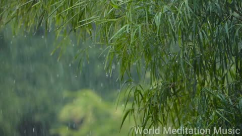 Relax music & rain sound, beautiful piano music, background music