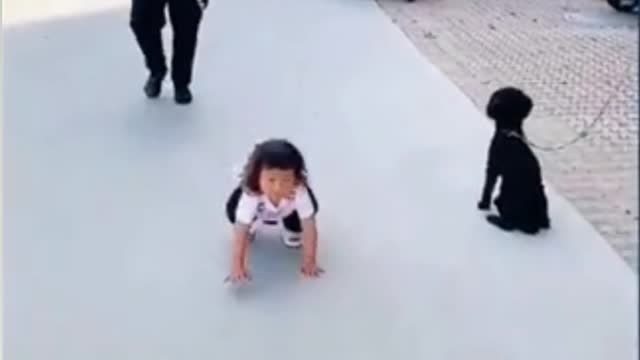 Imitation of a dog Very funny😜😜😂