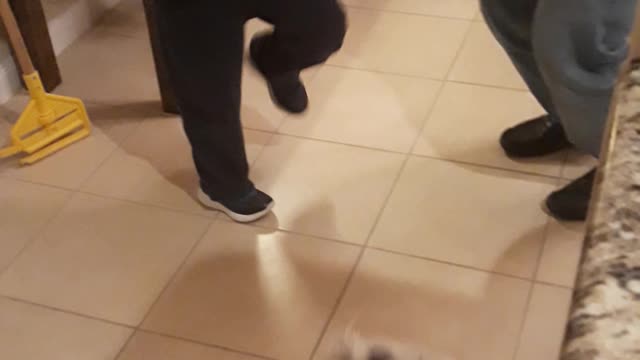 Dancing with our dog Jack