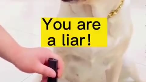 Come On, Use My Knife #shorts #viral #shortsvideo #video