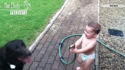 Baby playing with dogs