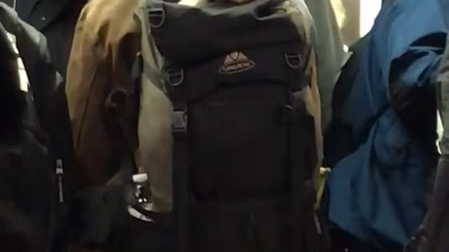 Cat wearing cutoff shirt stands on man's backpack in subway