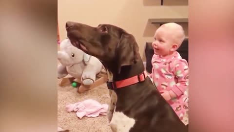 Dogs are the best friend of Babies 32