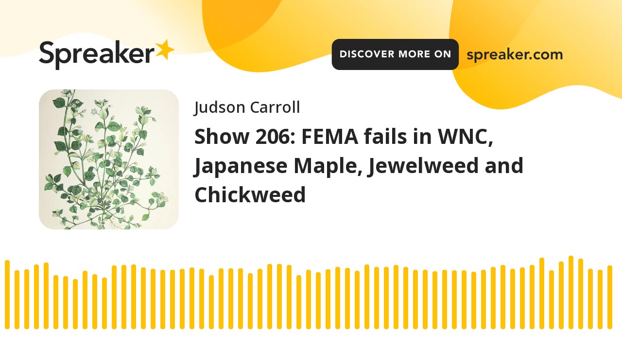 Show 206: FEMA fails in WNC, Japanese Maple, Jewelweed and Chickweed