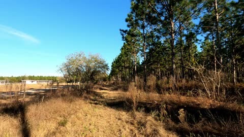 Dunnellon Florida Trail Hike Part 2