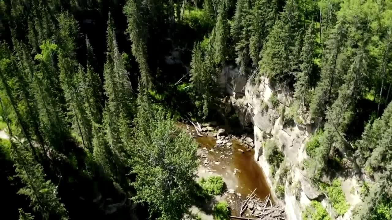 Canada's boreal forest is transforming due to climate change