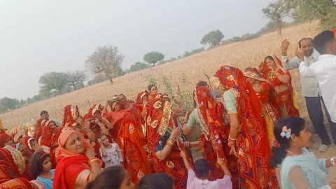 Rajasthani wedding 🕺😎💃