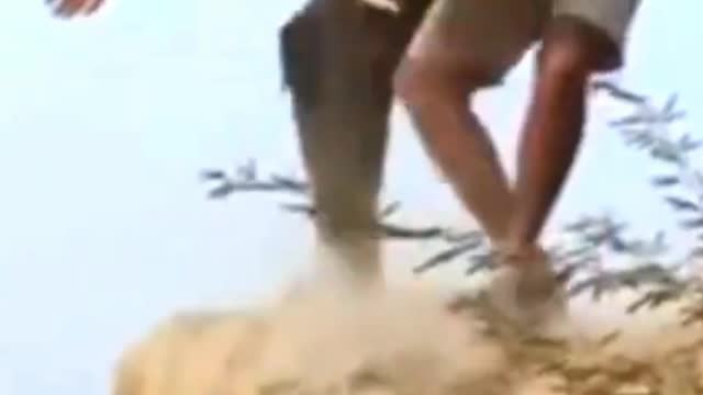 Funny virale videos