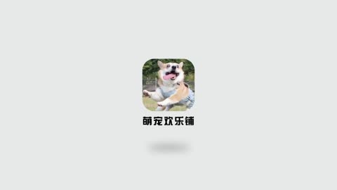 Super cute and funny cat and dog cute pet funny animal synthesis
