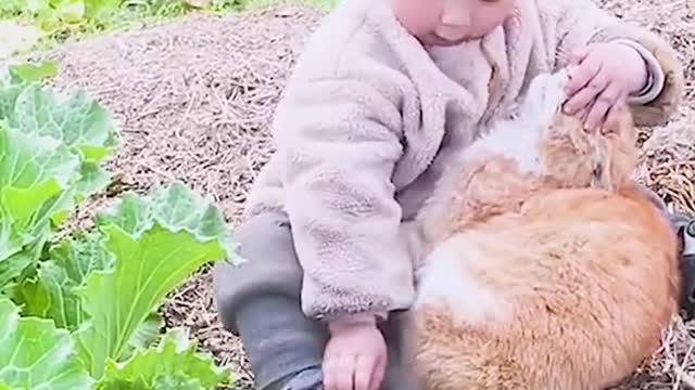 adorable baby making a lot of laugh