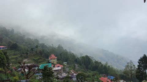 Darjeeling ❤