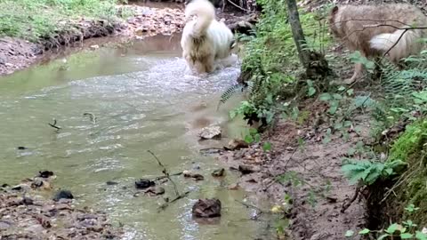 Max's bath time