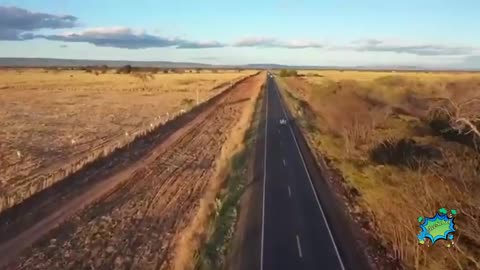 A Saga Do Governo Bolsonaro 20° Episódio