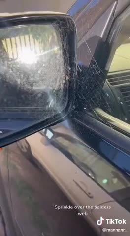 How to get rid of the spider web on your car