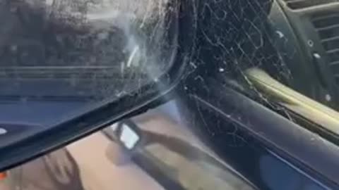 How to get rid of the spider web on your car