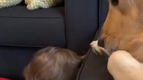 adorable baby playing with his dog