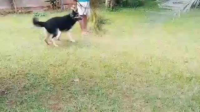 Happy times with shower