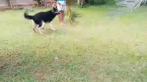 Happy times with shower