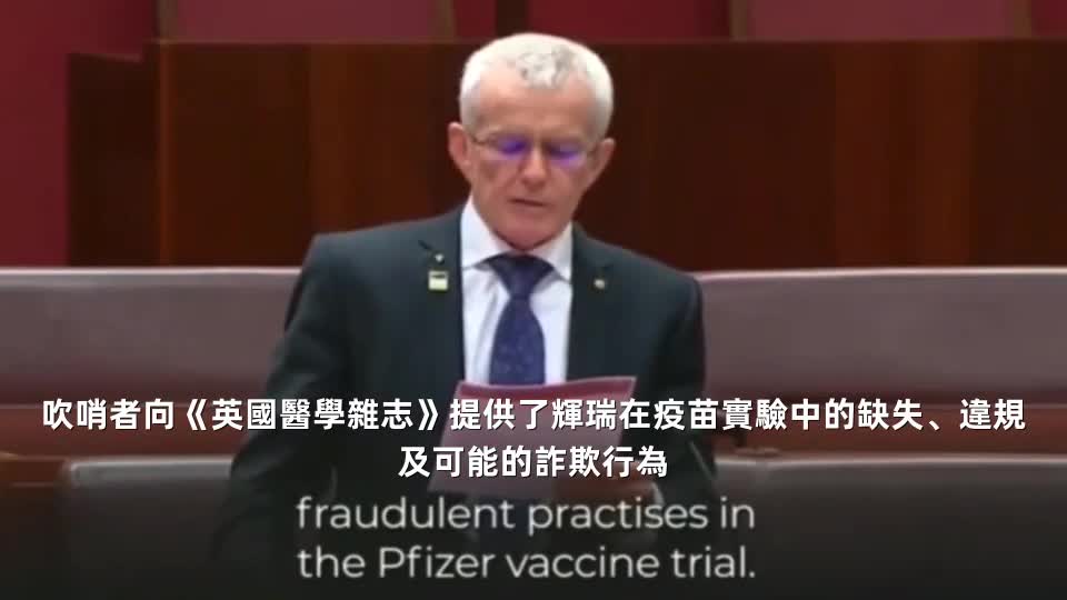 歐洲議員質詢