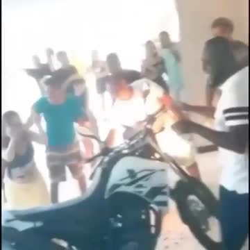 TOP 5 - GENDER REVEAL