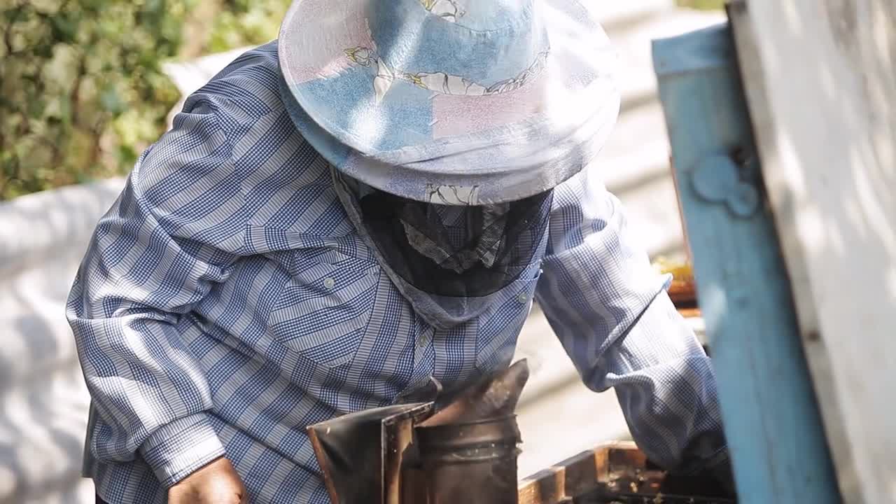 beekeeper put frames in the hive with bees