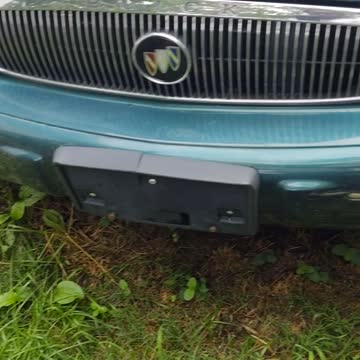 Lola on the rabbit hunt