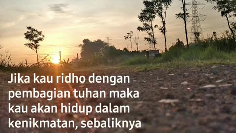 Quotes