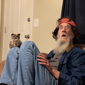 Pothead Finds Owl and Keeps It as a Pet