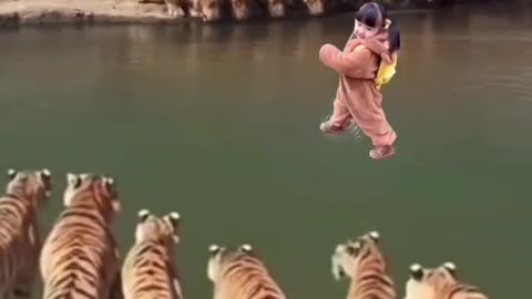Extreme Fights Between Wild Animals