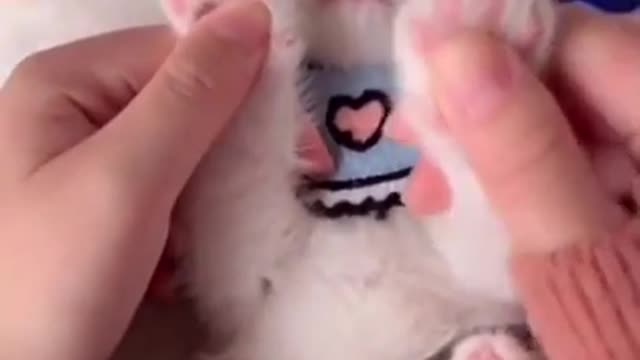 Pets are so funny
