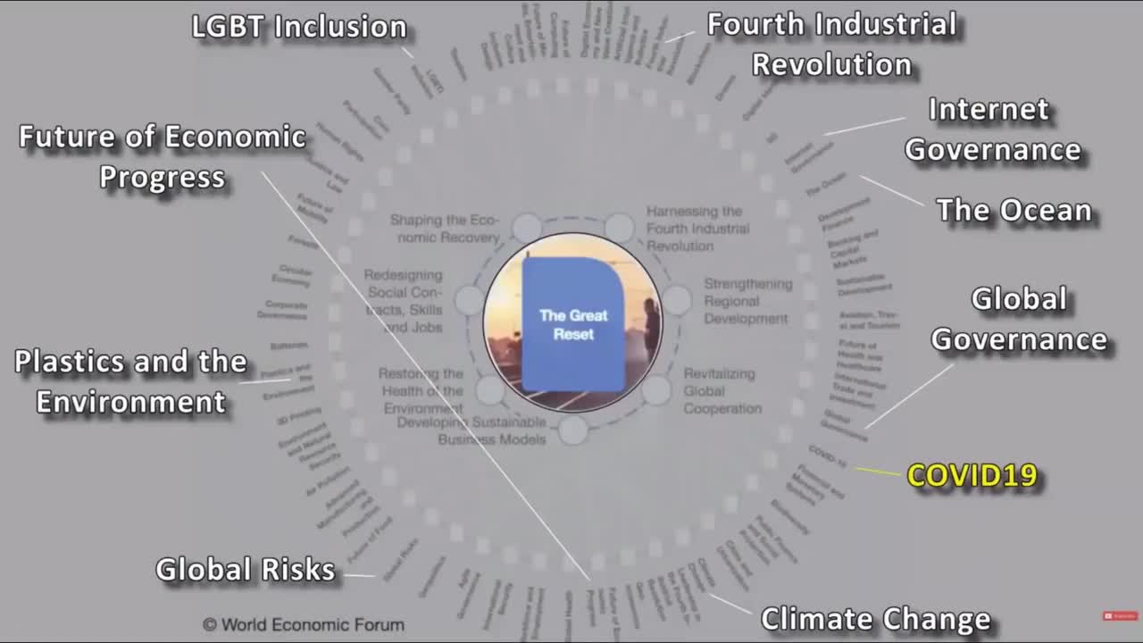 Remnant freedom forum about Globalist