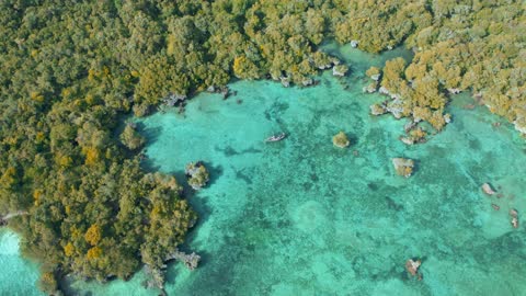 Drone Footage of a Beautiful Scenery of a Tropical Island