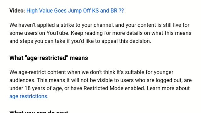 The fun of Being Youtube BlackListed