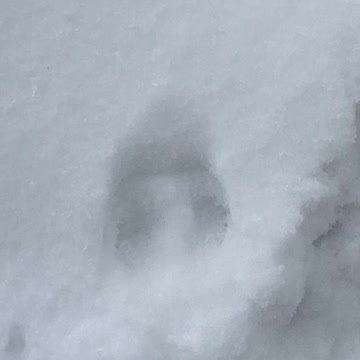 Hip hop then up. Way up.