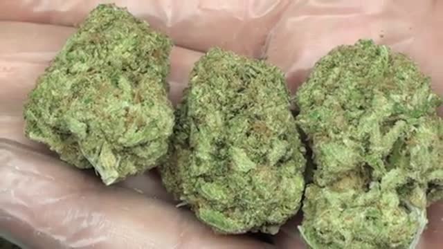 Cotton Candy, Cannabis Strain