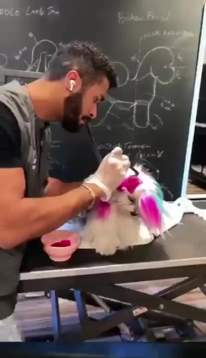 Cute pet dog hair coloring.....💜❤