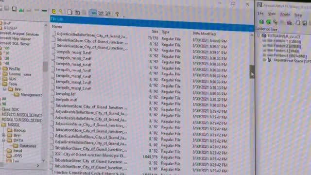 MUST WATCH 2020 ELECTION STUFF THAT'S BANNED EVERYWHERE ELSE