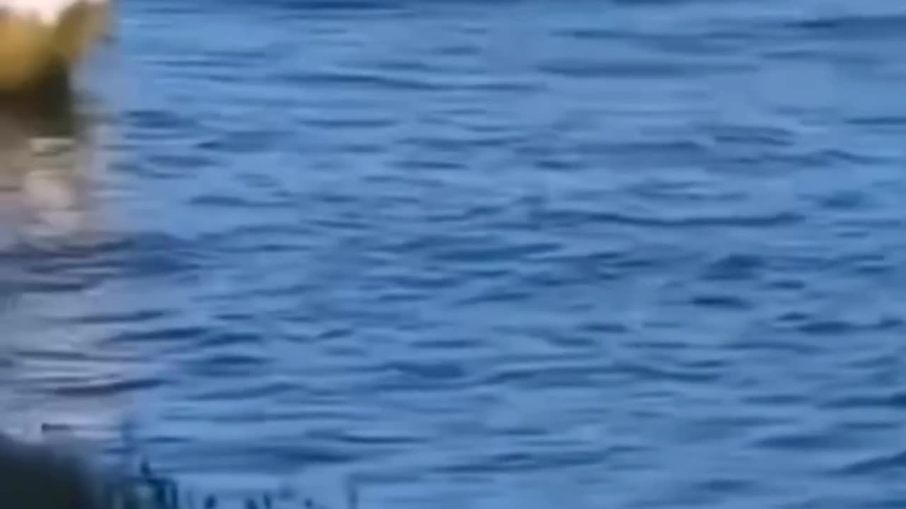 Jalpari