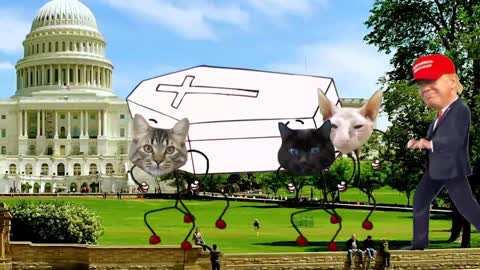 Trump Coffin Dance Meme :D