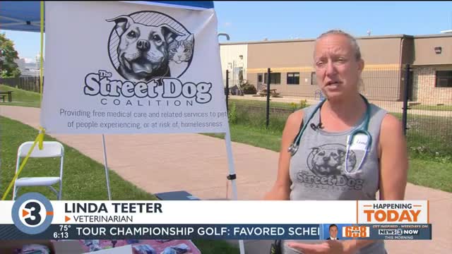 Madison Street Dog Coalition holds free vet clinic
