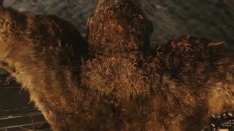 Godzilla vs Kong 02