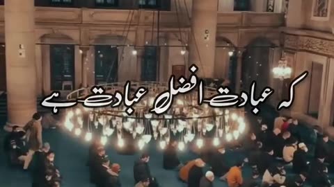 New Shab E Barat Status 2023 - Urdu Islamic Whatsapp Status