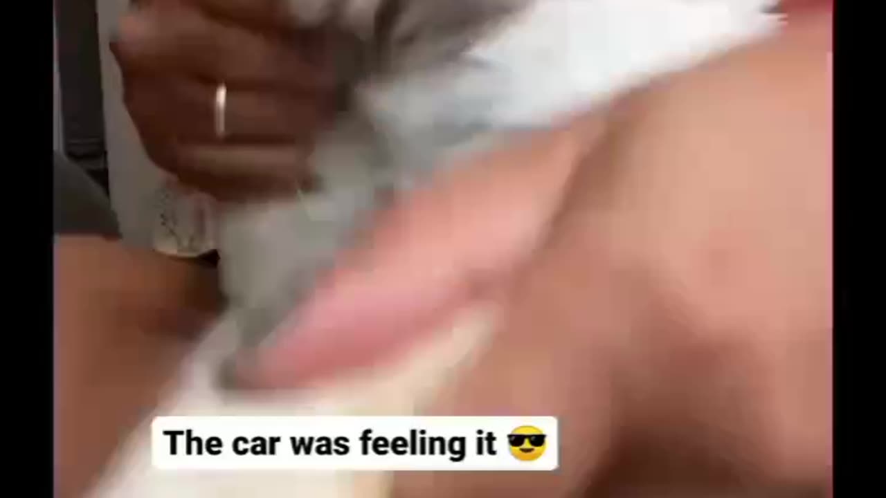 Dancing Cat 😻