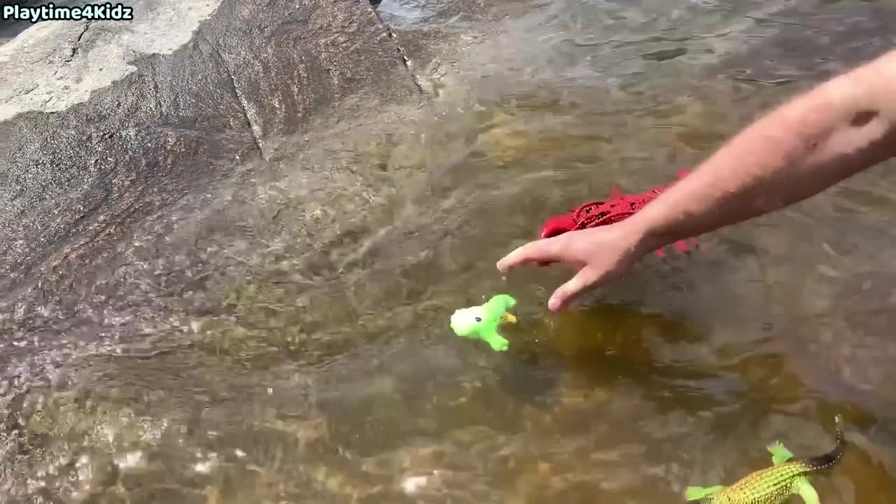 Seaside Safari: Exploring Sea Animal Toys this Summer