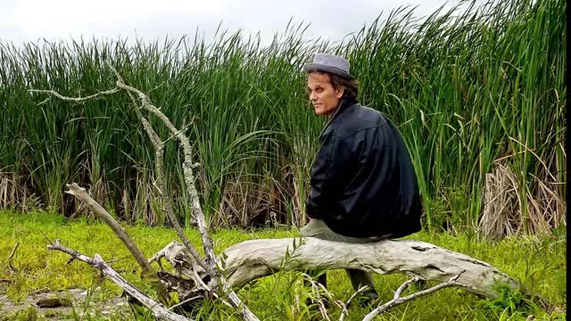 NASHVILLE RATS - SLIM SHADY LOVE