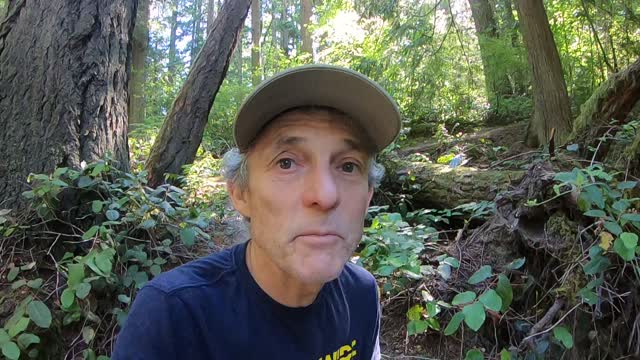 Special Message For Akbar, Katie & Jeweliet from Ralph Havens