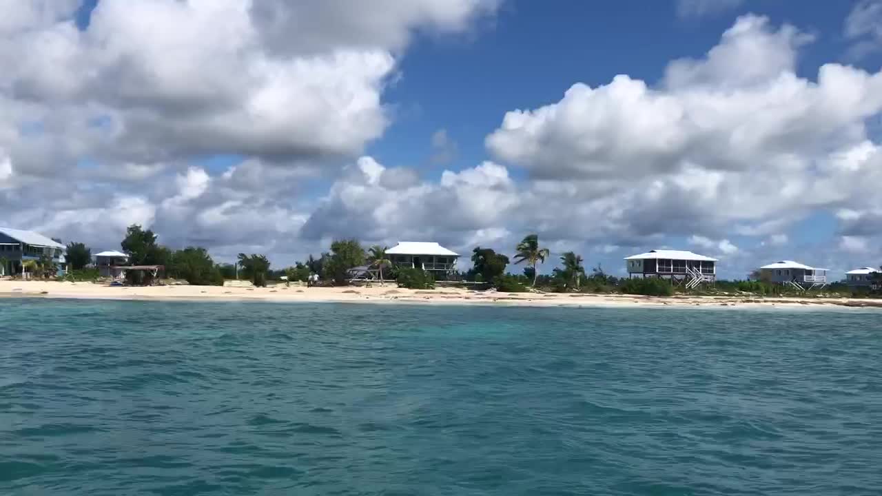 Diving into the Caribbean Ocean in Barbuda